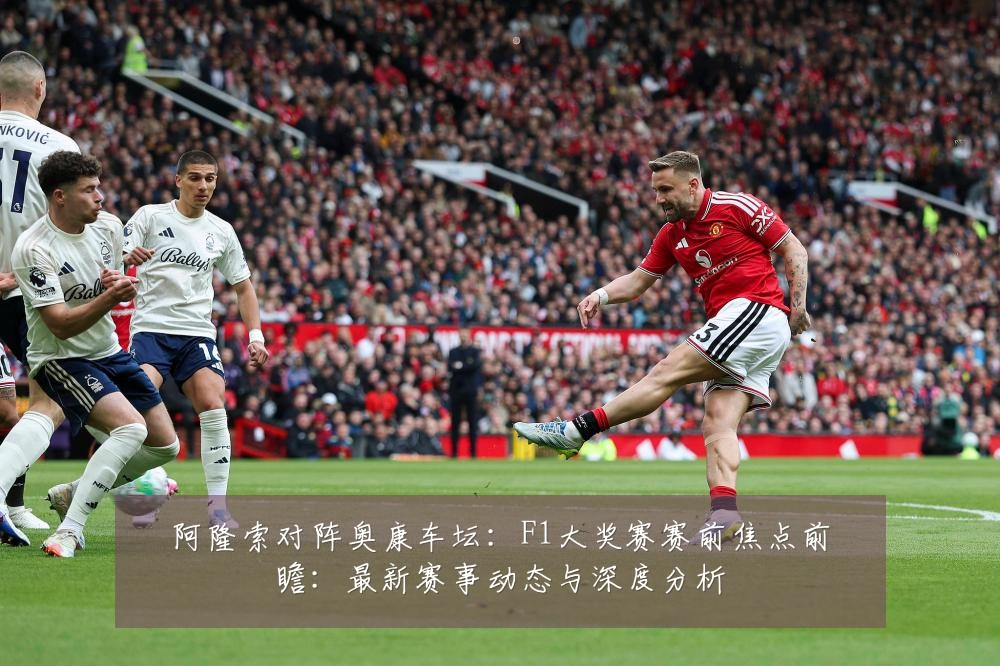 阿隆索对阵奥康车坛:F1大奖赛赛前焦点前瞻:最新赛事动态与深度分析