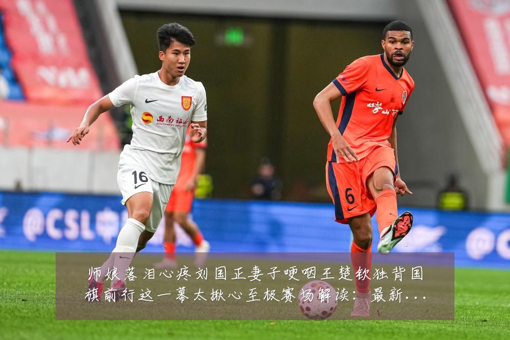 师娘落泪心疼刘国正妻子哽咽王楚钦独背国旗前行这一幕太揪心至极赛场解读:最新赛事动态与深度分析